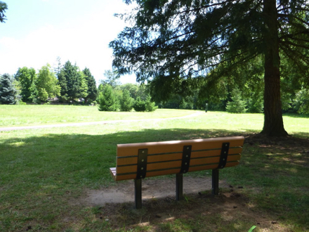 Bench under shade tree in the meadow on 108th Street Trail – grass around the bench